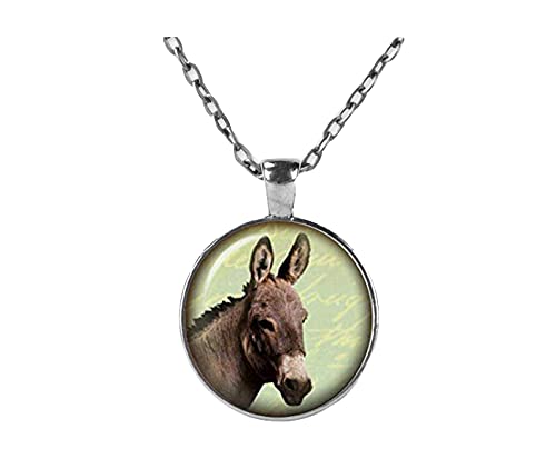 Sunshine Collar de burro, joyería de burro, regalo de burro, hecho a mano, adornos de cristal cúpula, regalos para ella