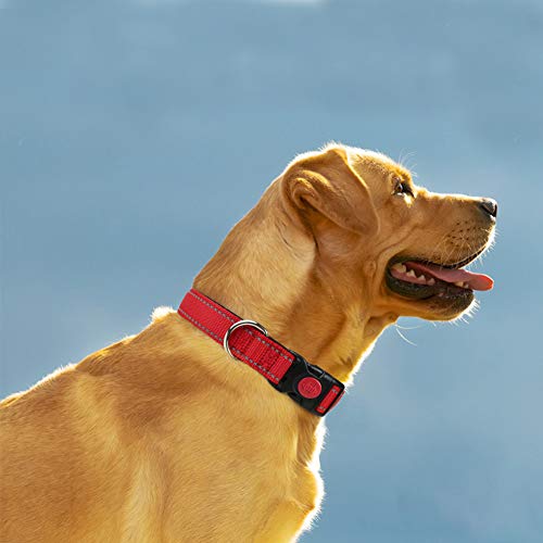 Taglory Collar Perro, Collar Nylon Reflectante Neopreno Forrado Ajustable para Perros Medianos, Rojo
