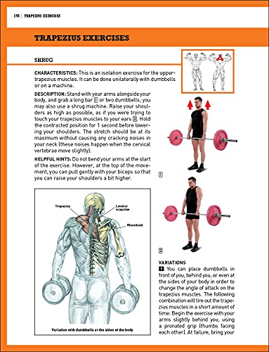 The Strength Training Anatomy Workout: Building Strength and Power with Free Weights and Machines: v. 2