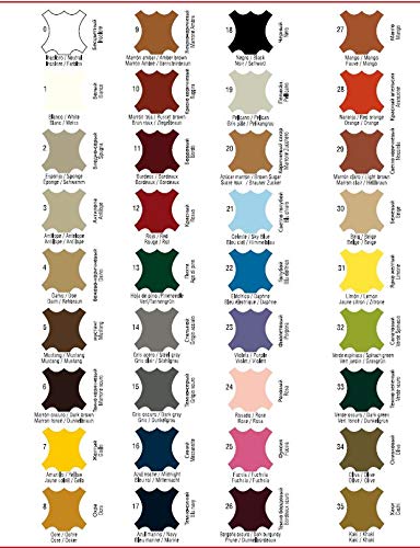 Tinte para Zapatos y Bolsos de Cuero y Textil con Esponja y Brocha | Cubre Rozaduras y Desgastes del Calzado | Gama de 90 colores ((01) Blanco)