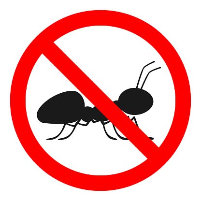 TodoCultivo Tarin Insecticida antiparasitos permetrina 0,5% en Polvo 5 Kg (5x1kg). Muy Efectivo contra Hormigas, ácaros, pulgas, garrapatas o escarabajos.