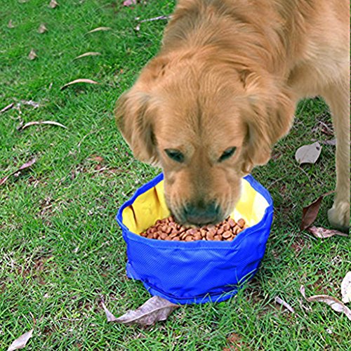 UEETEK Viaje plegable perro Bowl cuenco de agua alimentador portátil para mascotas gato perro alimentos (negro)