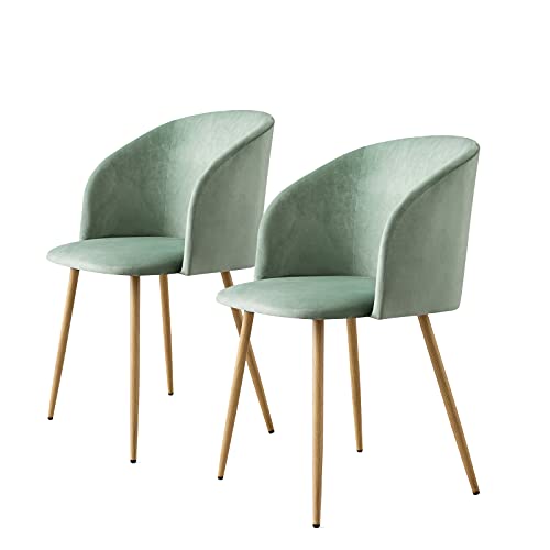 Vittorio meda Sillas de Comedor Silla de Salón Terciopelo Silla de Cocina con Reposabrazos y Patas de Metal (Verde, 2)