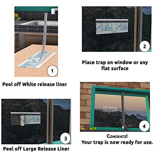 W4W Trampas para moscas y insectos para ventanas – Trampas para moscas y ventanas transparentes para interiores y exteriores, paquete de 16