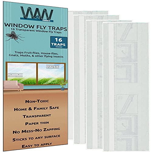 W4W Trampas para moscas y insectos para ventanas – Trampas para moscas y ventanas transparentes para interiores y exteriores, paquete de 16