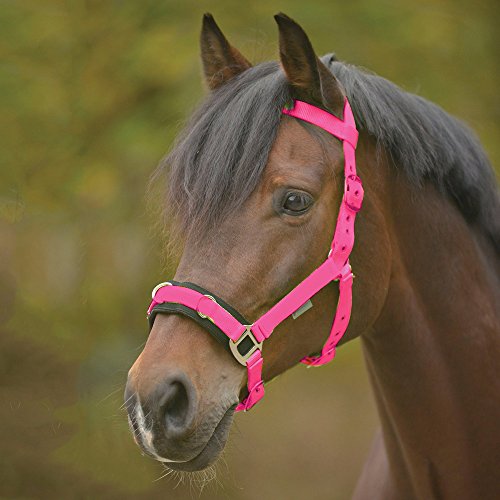 Waldhausen - Manta para caballo (hecha de nylon) rosa rosa Talla:Warmblut