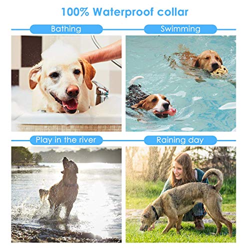 Wodondog Collar Adiestramiento Perros Impermeable y Recargable Remoto de 500 Metros - 2 Collars