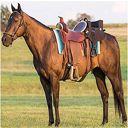 WXH The Ride Along Buddy Seat Saddle Accesorio para Silla de Montar, antigüedades Hechas a Mano Material de Cuero de Vaca, Western Pleasure Racing Quarter Horse