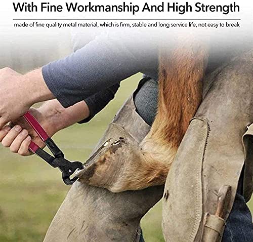 YLKCU Horse Farrier Kit de Herramientas para Cortar pezuñas, tenazas Profesionales para Caballos, Herramientas para Cortar pezuñas, Tijeras de Metal para Caballos, herradores, Cortador de Pinzas