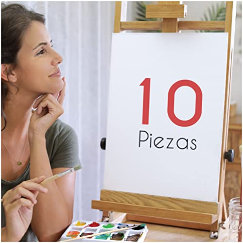 Zenacolor - Set de 10 Canvas - Lienzos para Pintar 30x40cm - Todos los Tipos de Pintura sobre Tela - 100% Algodón sin Ácidos