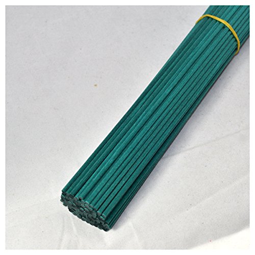 100 piezas Caña de fibra propagación difusor de varillas de repuesto palos para aroma y fragancia (25cm*3mm, Verde)