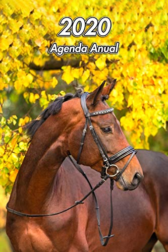 2020 Agenda Anual: Caballo Castaño | Ecuestre | 129 Páginas | Tamaño A5 | Planificador Semanal | 12 Meses | 1 Semana en 2 Páginas | Agenda Semana Vista | Tapa Blanda