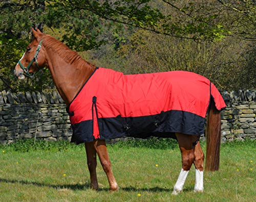600d ligero impermeable caballo participación alfombra 100g relleno estándar cuello