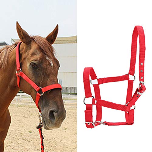 accesorios para caballos vaqueros,Espesado Cincha caballo control Brida cabestro a caballo de alta densidad de 6 mm Accesorios Color Rojo