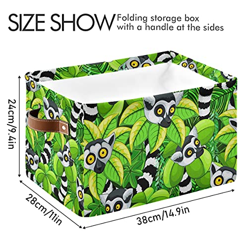 ADKing - Cubo de almacenamiento plegable con diseño de mapache con hojas de árbol, 1 unidad de organizador plegable de lona con asas