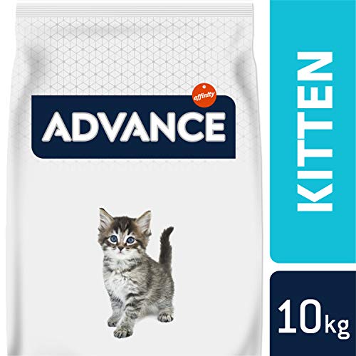 ADVANCE Kitten - Pienso para Gatitos - 10 Kg