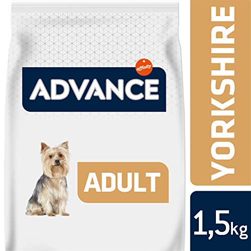Advance Yorkshire Terrier 1,5kg