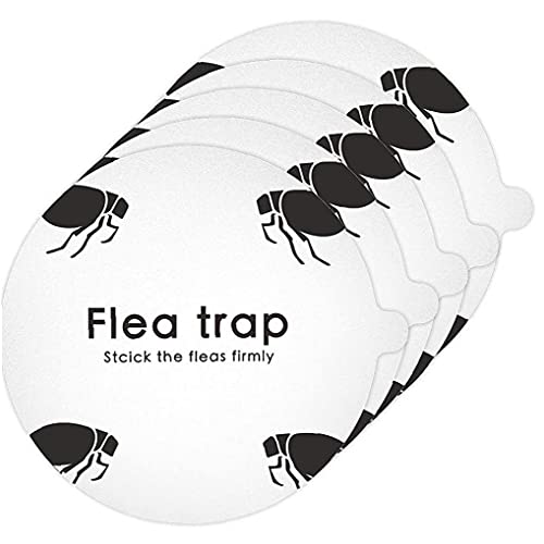 Aiyrchin 5pcs Flea Trap Reemplazo Pegatinas Redonda Desechable Flea Trap Pegatina Sticky Dome Flea Pegue Discos 11 Cm
