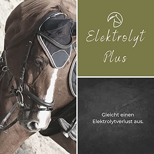 Alpurial Electrolito Plus – para compensar los electrolitos importantes al sudar del caballo – minerales importantes y vitaminas para caballos – desarrollado por veterinarios