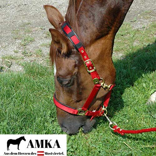 AMKA Forro Cuenco Cuenco de cereales de fuga Juego de 5 2 l de agua con tapa Bol de comida recipiente para caballos, perros Animales, color rosa