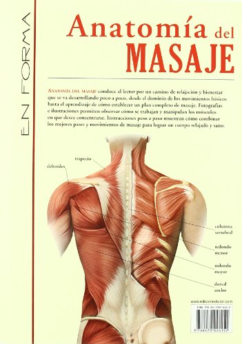 Anatomía Del Masaje