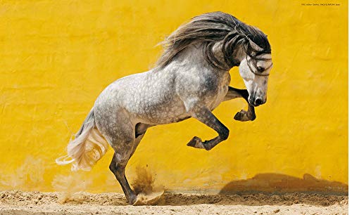 ANDALUSIANS (Spectacular Places)