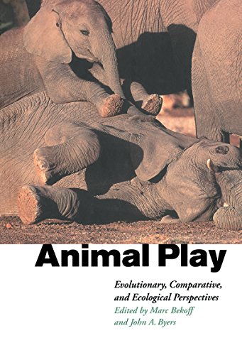 Animal Play: Evolutionary, Comparative and Ecological Perspectives (English Edition)