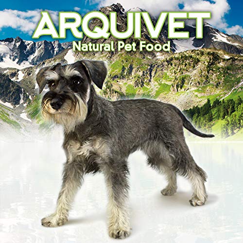 ARQUIVET - Aceite de salmón escocés 250 ml para perros y gatos - Alimento complementario - Fuente de Omega 3 y 6 - Vitamina E - Comida para perros y gatos