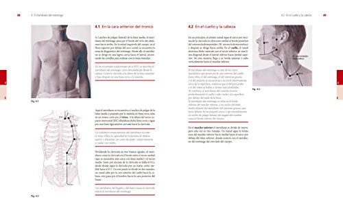 ATLAS DE SHIATSU: Los meridianos del Shiatsu Zen