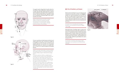 ATLAS DE SHIATSU: Los meridianos del Shiatsu Zen