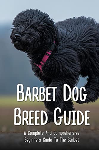 Barbet Dog Breed Guide: A Complete And Comprehensive Beginners Guide To The Barbet: How Do You Train A Barbet