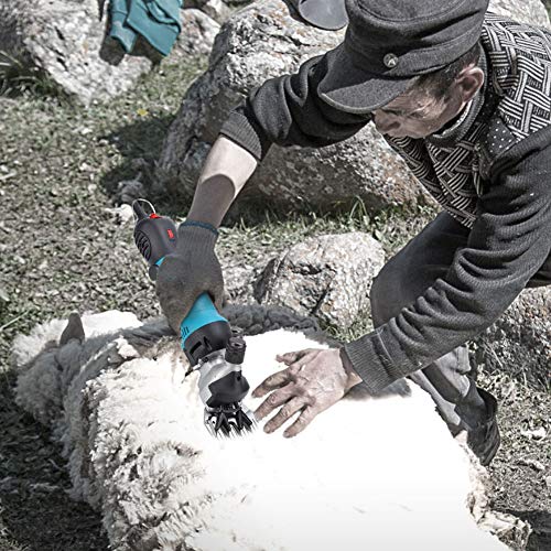 BHDD Cizallas eléctricas para ovejas, máquina de esquila de ovejas Profesional portátil con 6 velocidades, cortaúñas Ligeras para el Cuidado de Animales de Granja con Estuche de Transporte(EU)