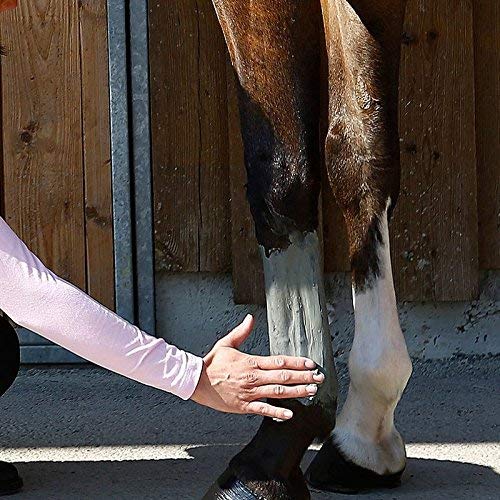 bleu & marine Bretania Cataplasma equinos 1,5 kg Caballo Horse Poultice Poudre Armoricaine Algas Marinas Barro