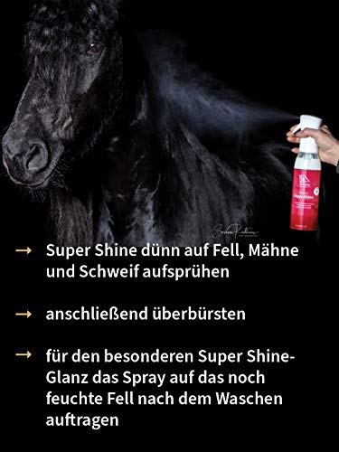 Blue Hors Super Shine - Espray para crines y colas para caballos, 670 ml, piel brillante, pelo largo cuidado, fácil de peinar y tolerancia a la piel, accesorio para caballos