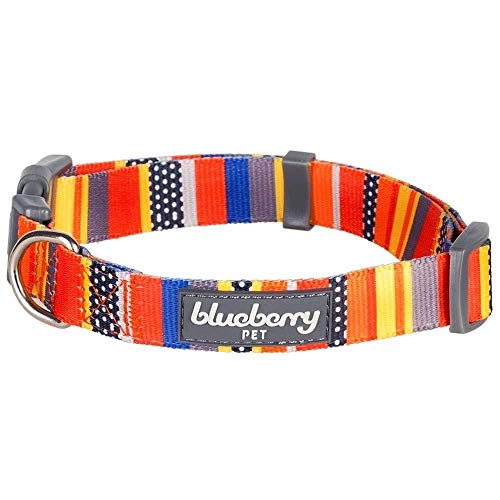 Blueberry Pet Collar básico de Perro con diseño de Bandera náutica, Cuello de 30,5 a 40,6 cm, pequeño, Collares para Perros