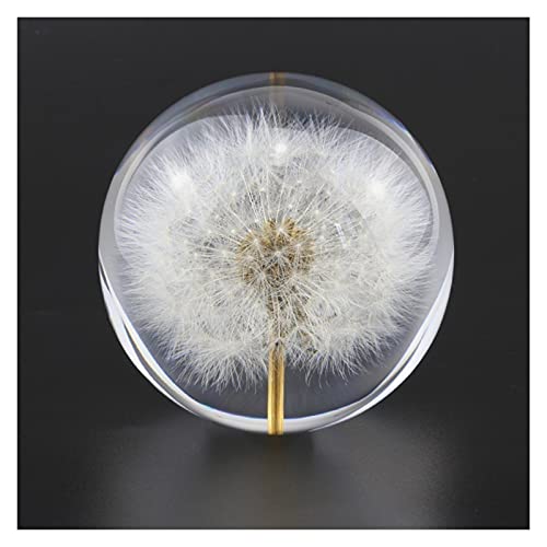 Bola de Cristal Diente de león cristal cristal resina lente bola 70 mm plantas naturales espécimen feng shui flores navidad amor regalo decoración para el hogar globo Feng Shui Adivinación Meditación