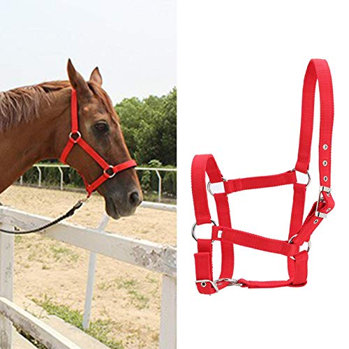 Brida de caballo de 6 mm de grosor, cabestro para montar a caballo de alta densidad, accesorio rojo para montar a caballo de doble capa con hebilla para sujetar el caballo de control
