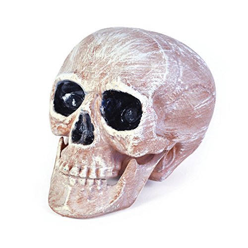 Bristol Novelty-HI266 Bristol Novelty HI266-Cabeza de cráneo, rosa y blanco, color, talla única (HI266)