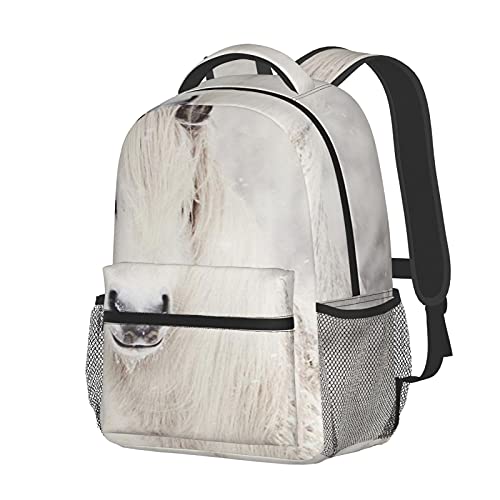 BYETWIK Mochilas Escolares Niños Niñas, Mochilas Hombre Mujer, Casual Deporte Playa Viaje Compras Bolsa Escolar, Mochilas Escolares Caballo de nieve 88