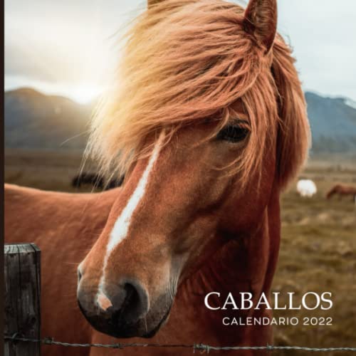 Caballos calendario 2022: Regalo original caballo
