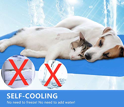Cadosoigh Alfombra de Refrigeración Animales Nevera y Manta para Perro Fresco Cojín Azul Nevera Techo Camas de Suelo Couch Zwinger Auto(65 * 50 CM)
