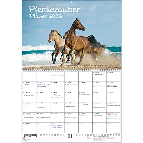 Calendario 2022 para caballos y potros, DIN A2, con calendario para 2022, set de regalo, contenido: 1 calendario, 1 tarjeta de felicitación de Navidad y 1 tarjeta de felicitación (3 piezas en total).