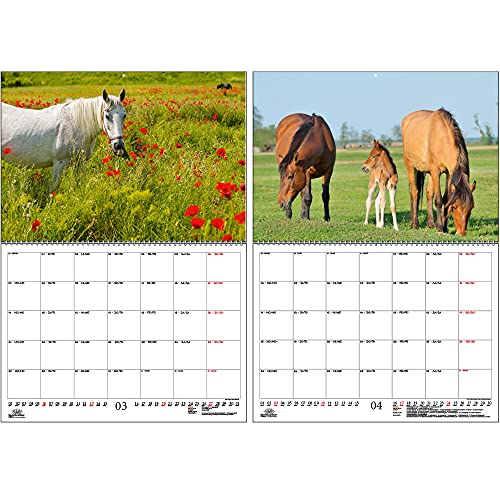 Calendario 2022 para caballos y potros, DIN A2, con calendario para 2022, set de regalo, contenido: 1 calendario, 1 tarjeta de Navidad (2 piezas en total).