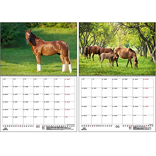 Calendario 2022 para caballos y potros, DIN A2, con calendario para 2022, set de regalo, contenido: 1 calendario, 1 tarjeta de Navidad (2 piezas en total).