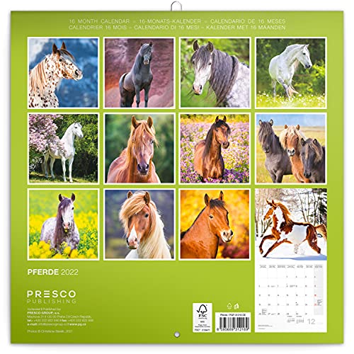 Calendario de pared 2022 con diseño de caballos, con folletos y calendario mensual, 30 x 30 cm (30 x 60 cm)