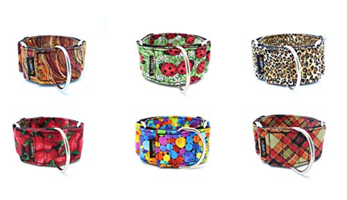 candyPet Collar Martingale para Perros - Modelo Circle, M