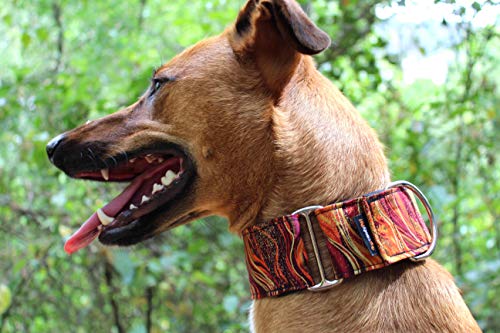 candyPet Collar Martingale Para Perros - Modelo New Waves, L