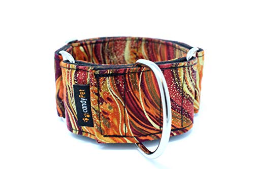 candyPet Collar Martingale Para Perros - Modelo New Waves, L