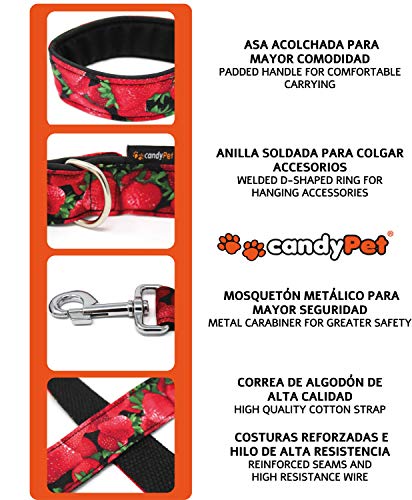 candyPet® Correa para Perros - 120 cm con Asa Acolchada - Modelo Leopardo