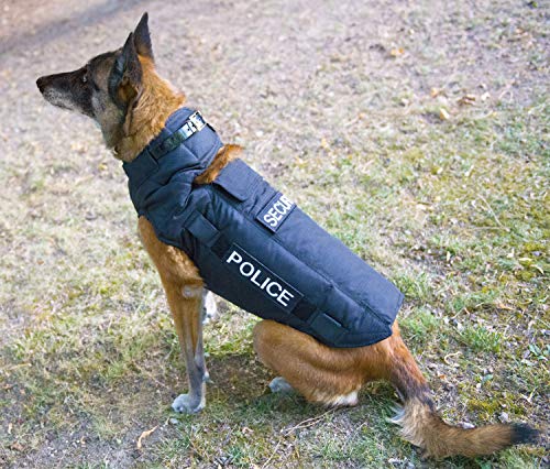 Canihunt Destockage – Chaleco para perro, protección de tipo 4 a la perforación con opción kit Pare Pelota (65)